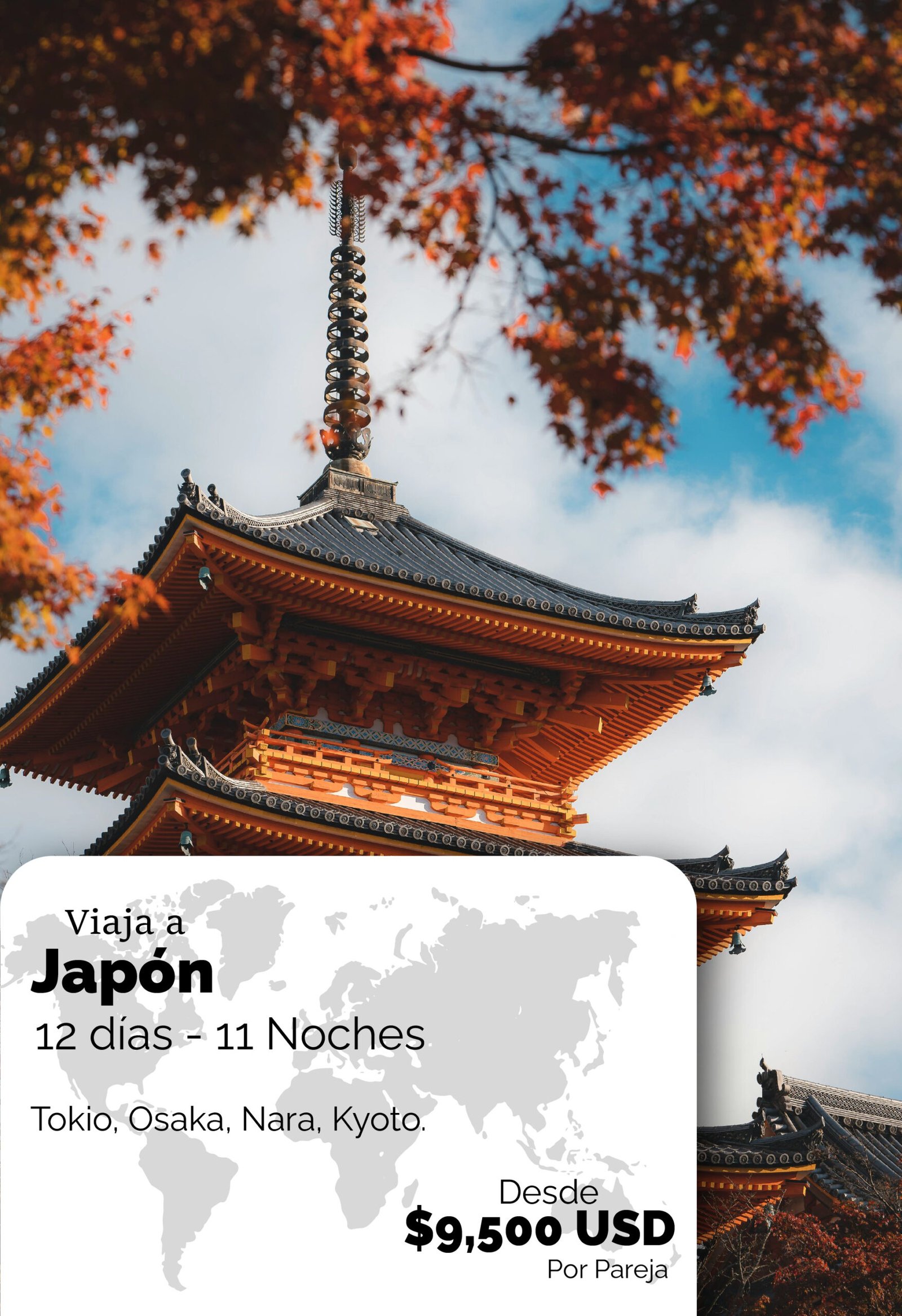 PLANES DE VIAJES-01